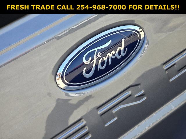 2023 Ford Super Duty F-250 SRW Vehicle Photo in STEPHENVILLE, TX 76401-3713