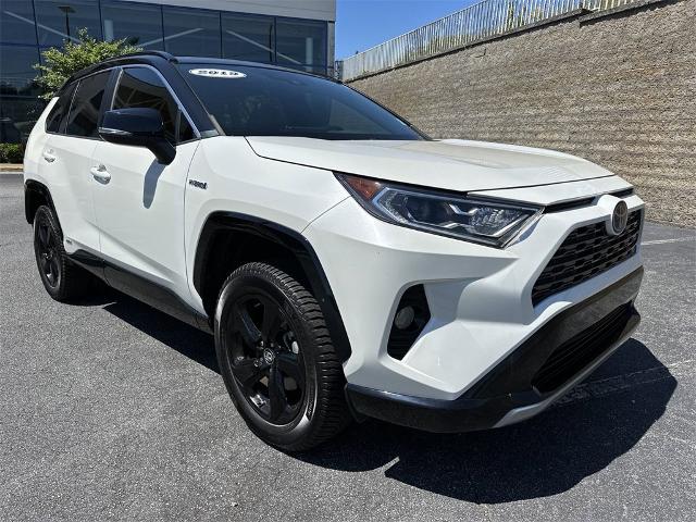 2019 Toyota RAV4 Vehicle Photo in SMYRNA, GA 30080-7631