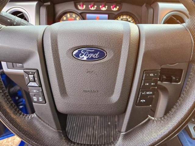 2014 Ford F-150 Vehicle Photo in Weatherford, TX 76087-8771