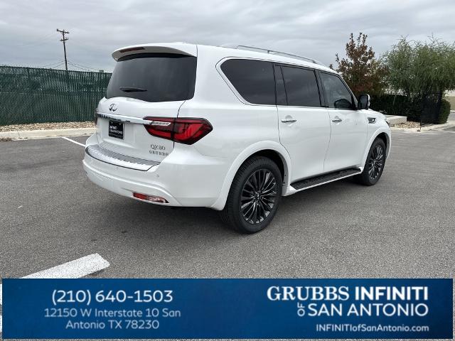 2024 INFINITI QX80 Vehicle Photo in San Antonio, TX 78230