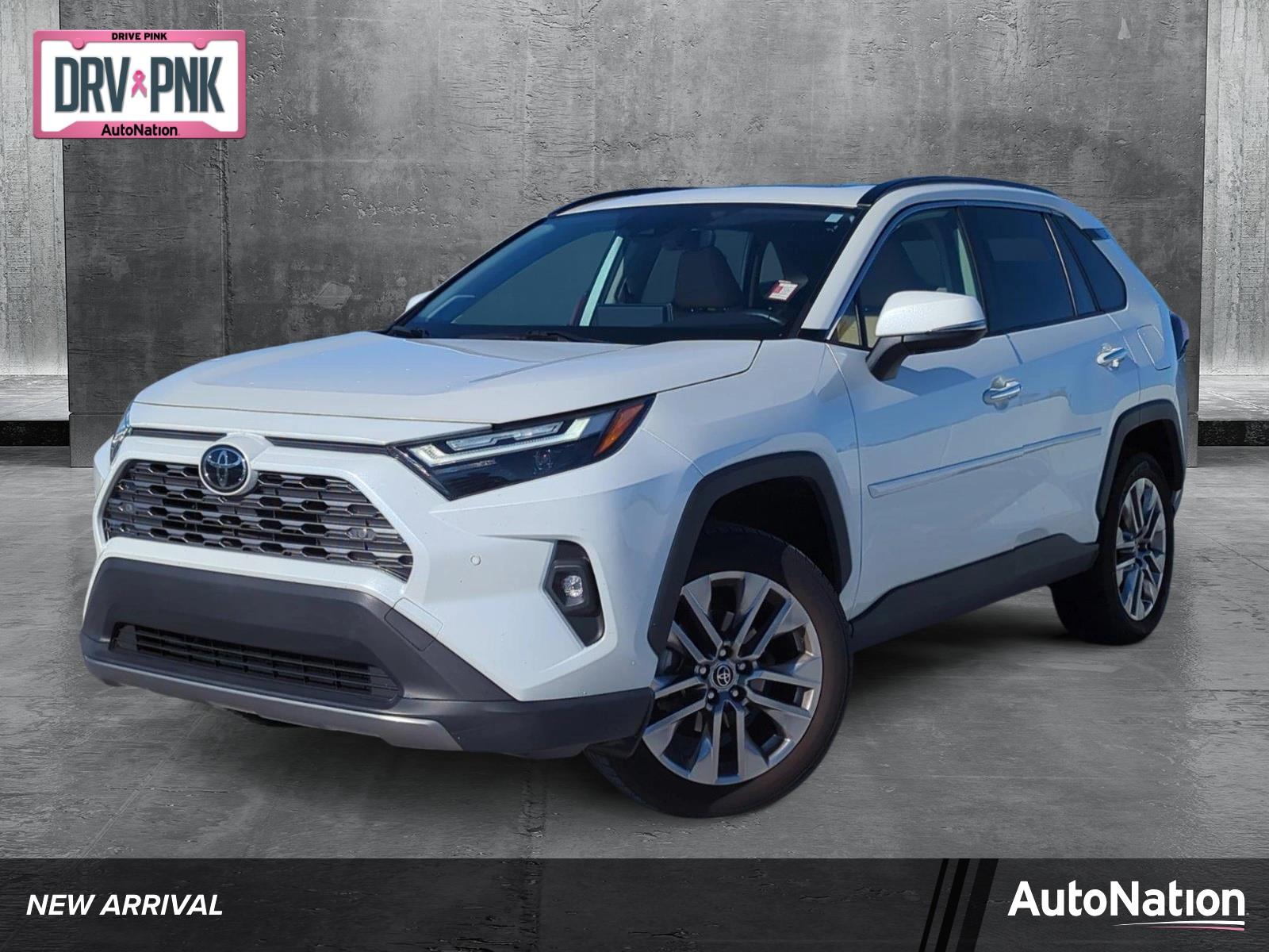 2022 Toyota RAV4 Vehicle Photo in Ft. Myers, FL 33907