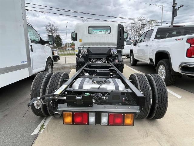 2024 Chevrolet Low Cab Forward 4500 Vehicle Photo in ALCOA, TN 37701-3235