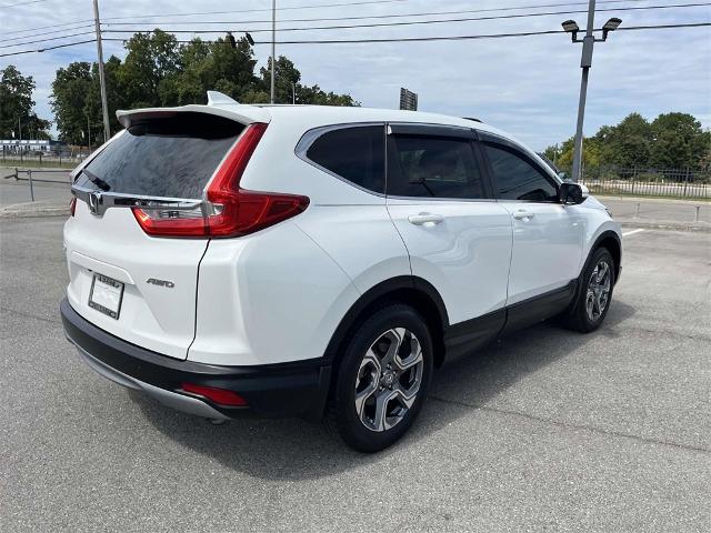 2019 Honda CR-V Vehicle Photo in ALCOA, TN 37701-3235