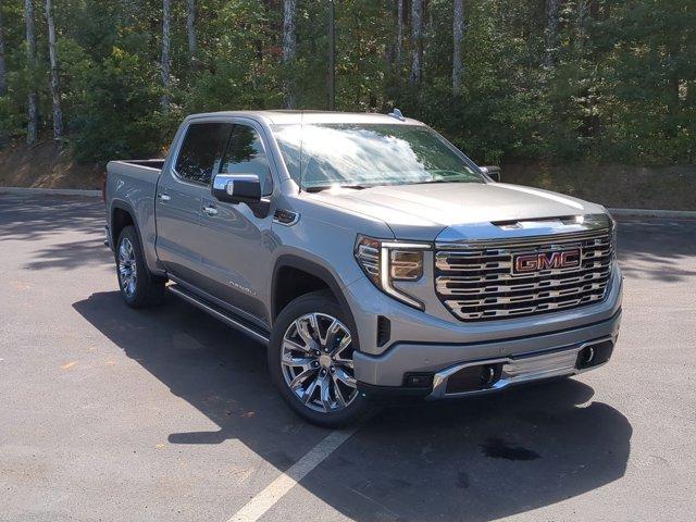 2025 GMC Sierra 1500 Vehicle Photo in ALBERTVILLE, AL 35950-0246