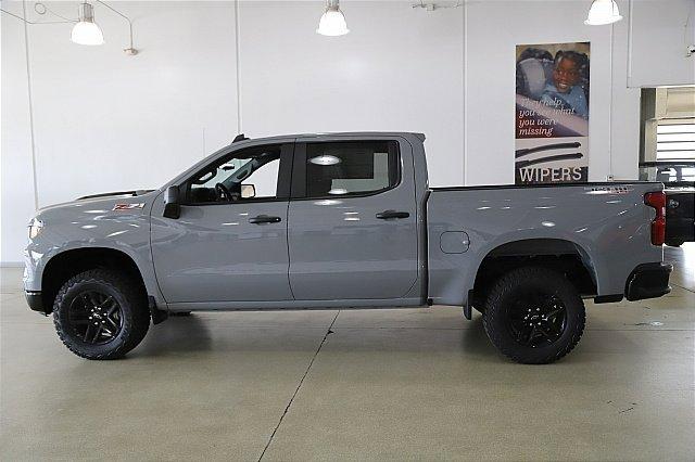 2025 Chevrolet Silverado 1500 Vehicle Photo in MEDINA, OH 44256-9001