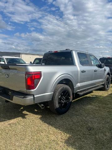 2024 Ford F-150 Vehicle Photo in STEPHENVILLE, TX 76401-3713