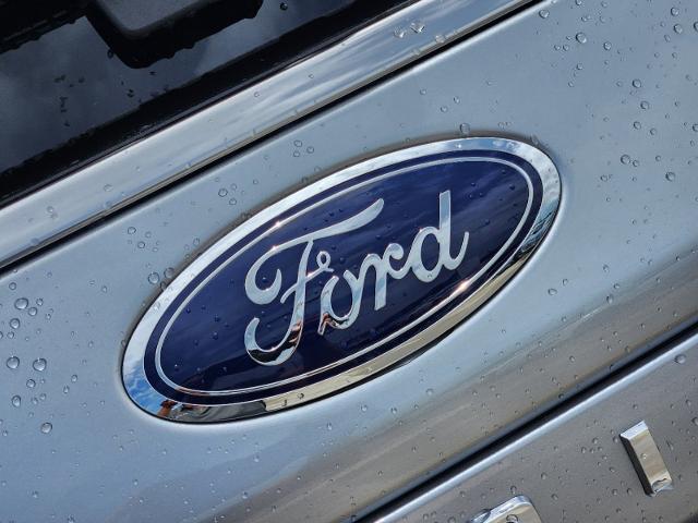 2024 Ford Expedition Vehicle Photo in Stephenville, TX 76401-3713