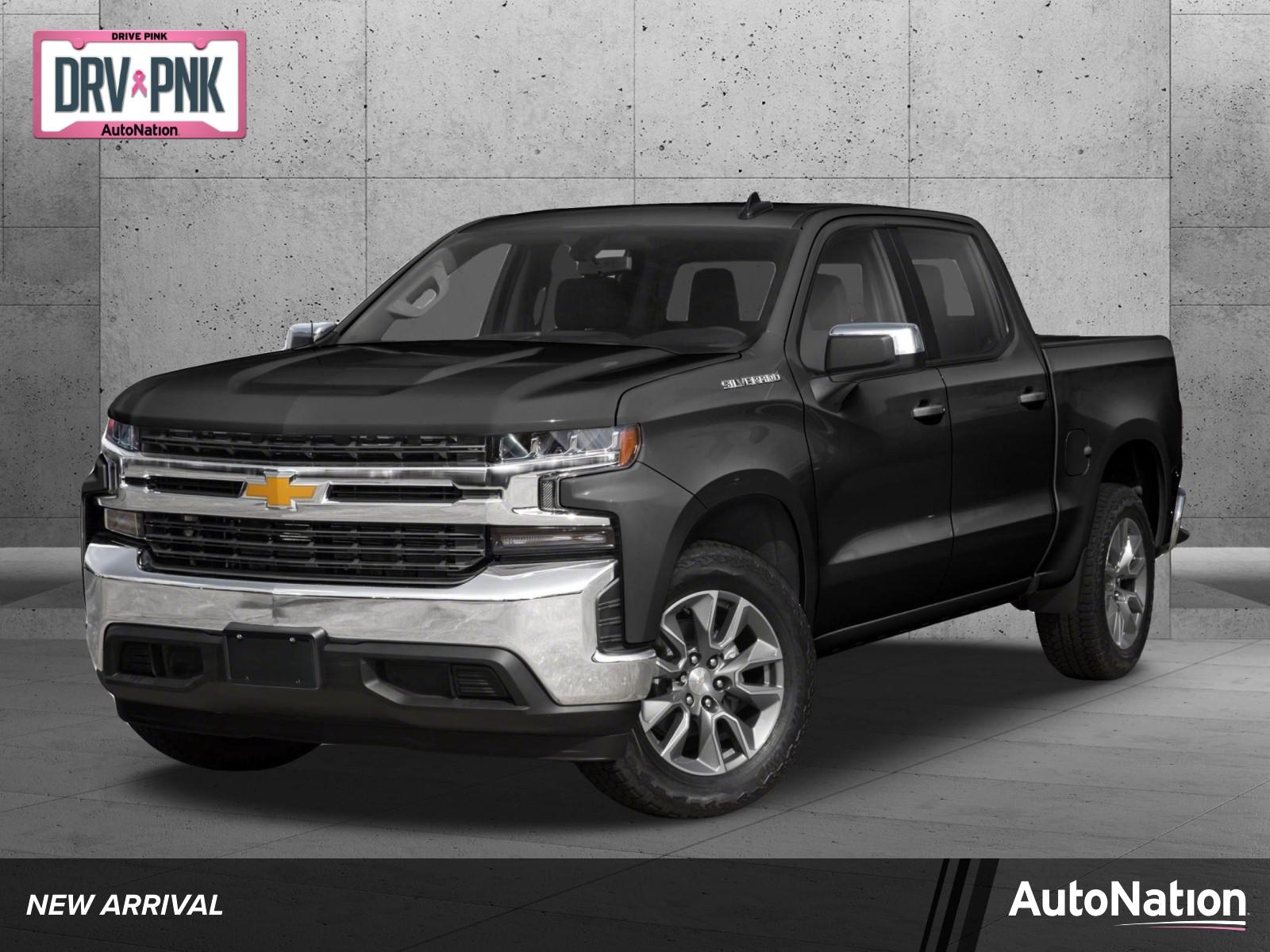 2019 Chevrolet Silverado 1500 Vehicle Photo in Panama City, FL 32401