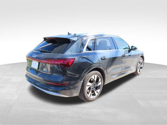 2022 Audi e-tron Vehicle Photo in DELRAY BEACH, FL 33483-3294