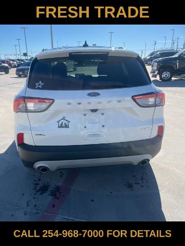 2020 Ford Escape Vehicle Photo in STEPHENVILLE, TX 76401-3713