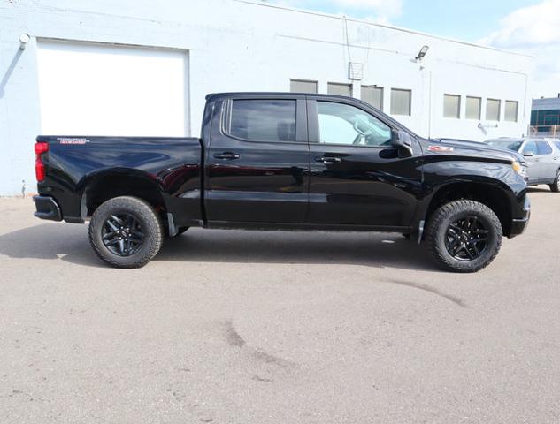 2024 Chevrolet Silverado 1500 Vehicle Photo in DETROIT, MI 48207-4102