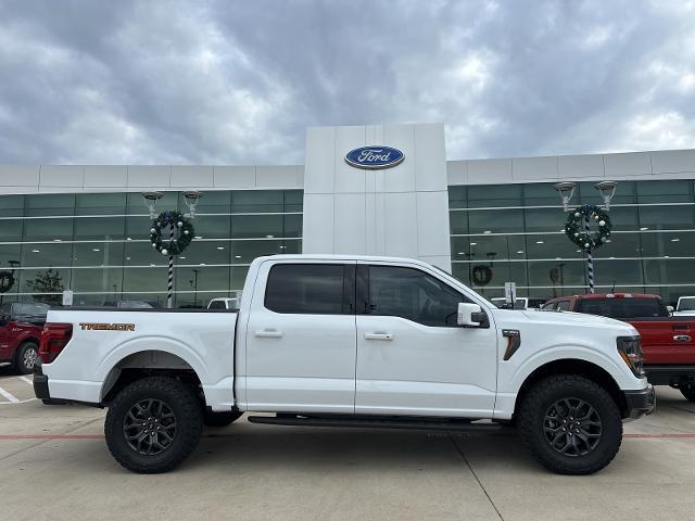 2024 Ford F-150 Vehicle Photo in Terrell, TX 75160