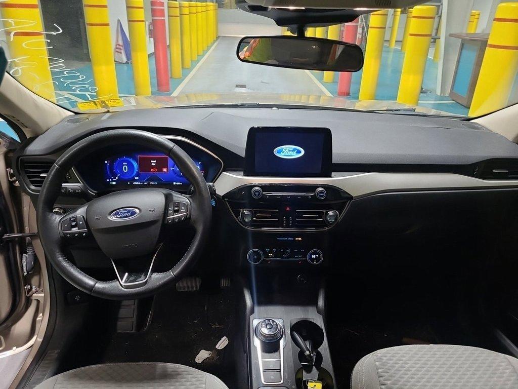 2020 Ford Escape Vehicle Photo in AKRON, OH 44320-4088