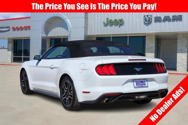 2019 Ford Mustang Vehicle Photo in Cleburne, TX 76033