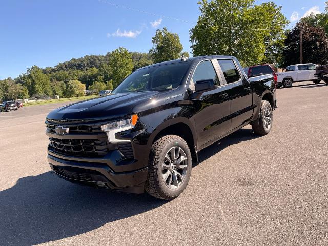 2024 Chevrolet Silverado 1500 Vehicle Photo in THOMPSONTOWN, PA 17094-9014