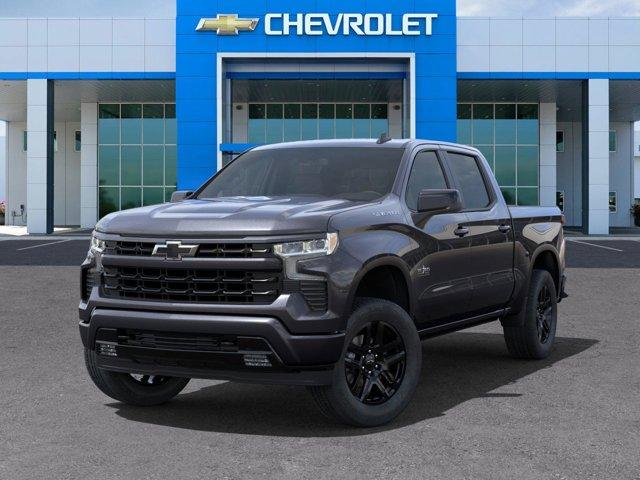 2024 Chevrolet Silverado 1500 Vehicle Photo in SELMA, TX 78154-1460