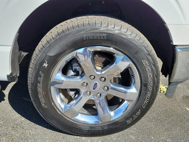 2021 Ford F-150 Vehicle Photo in West Chester, PA 19382