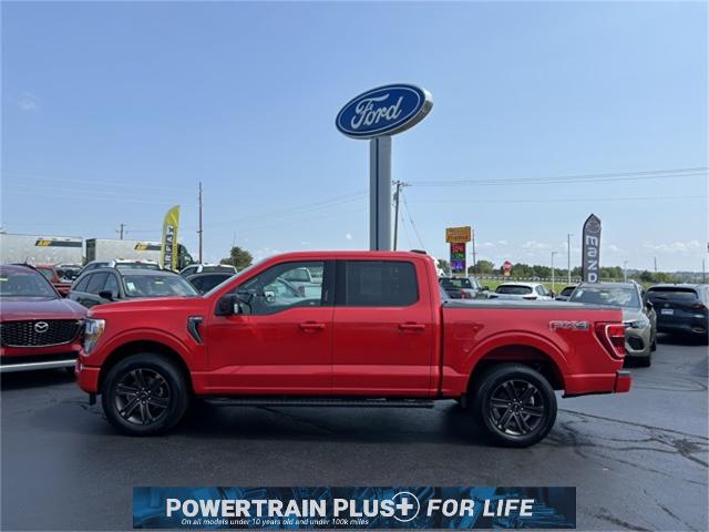 2021 Ford F-150 Vehicle Photo in Danville, KY 40422