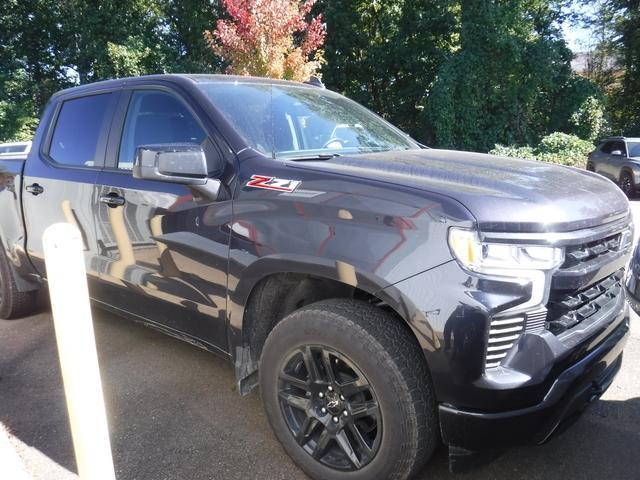 2023 Chevrolet Silverado 1500 Vehicle Photo in JASPER, GA 30143-8655