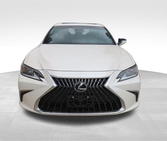 2022 Lexus ES Vehicle Photo in DELRAY BEACH, FL 33483-3294