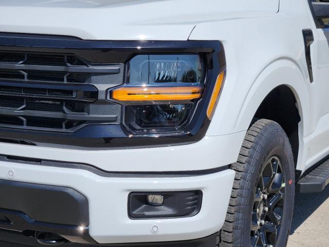 2024 Ford F-150 Vehicle Photo in Pilot Point, TX 76258