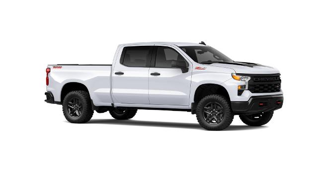 2024 Chevrolet Silverado 1500 Vehicle Photo in Salem, OR 97301