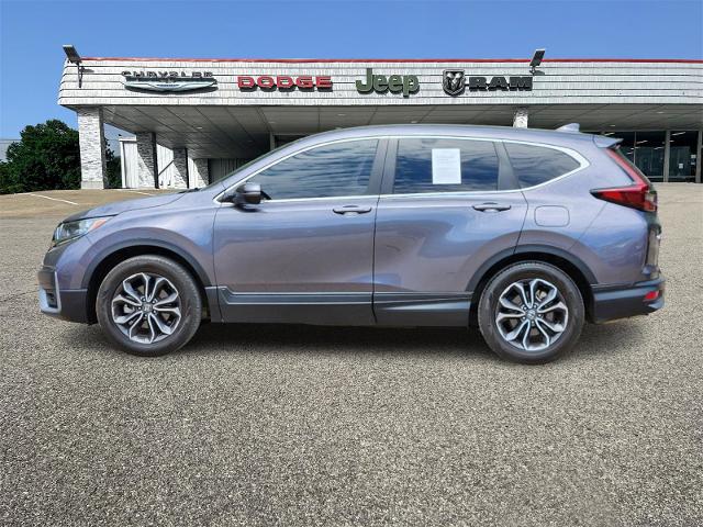 2022 Honda CR-V Vehicle Photo in Ennis, TX 75119-5114