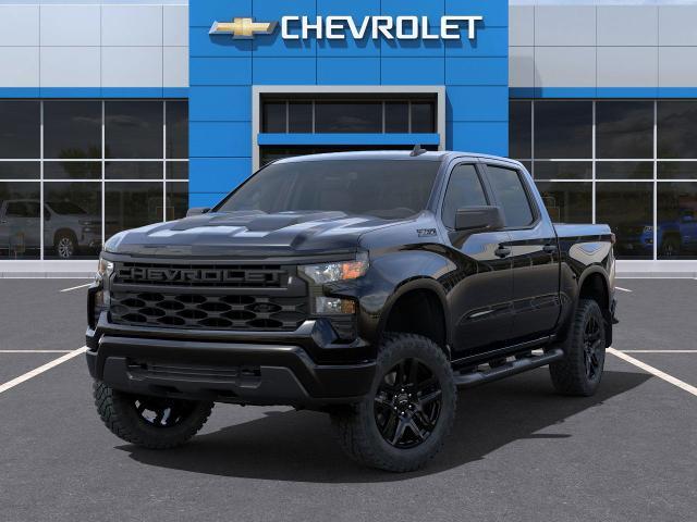 2025 Chevrolet Silverado 1500 Vehicle Photo in PAWLING, NY 12564-3219