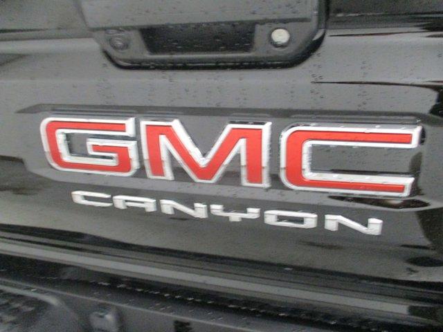 2024 GMC Canyon Vehicle Photo in BATTLE CREEK, MI 49037-8454