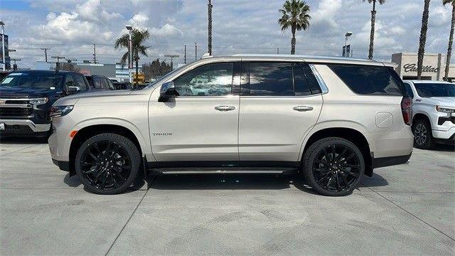 2024 Chevrolet Tahoe Vehicle Photo in RIVERSIDE, CA 92504-4106