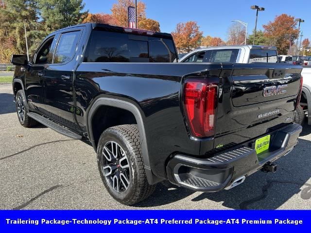 2025 GMC Sierra 1500 Vehicle Photo in CHICOPEE, MA 01020-5001