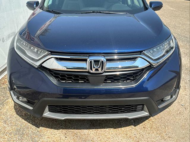 2017 Honda CR-V Vehicle Photo in DUNN, NC 28334-8900