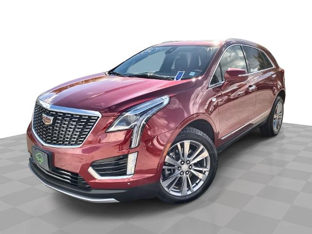 2024 Cadillac XT5 Vehicle Photo in WILLIAMSVILLE, NY 14221-2883