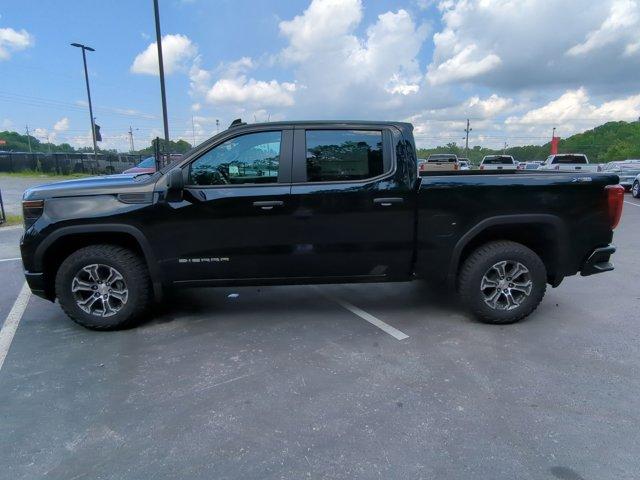 2024 GMC Sierra 1500 Vehicle Photo in ALBERTVILLE, AL 35950-0246