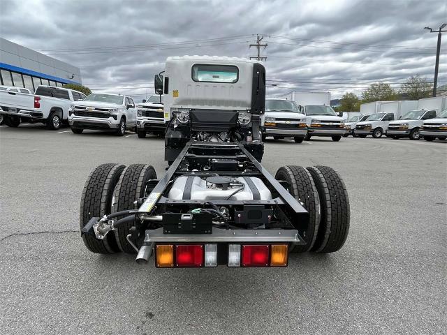 2024 Chevrolet Low Cab Forward 4500 Vehicle Photo in ALCOA, TN 37701-3235