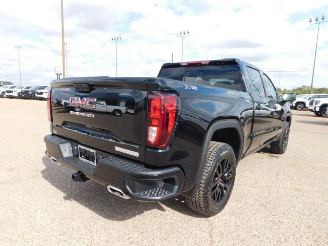 2025 GMC Sierra 1500 Vehicle Photo in GATESVILLE, TX 76528-2745