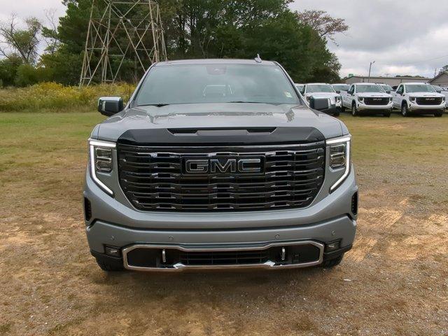 2025 GMC Sierra 1500 Vehicle Photo in ALBERTVILLE, AL 35950-0246