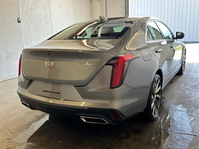 2020 Cadillac CT4 Vehicle Photo in RED SPRINGS, NC 28377-1640