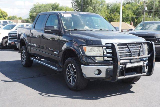 2014 Ford F-150 Vehicle Photo in AMERICAN FORK, UT 84003-3317