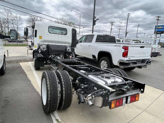 2024 Chevrolet Low Cab Forward 4500 Vehicle Photo in ALCOA, TN 37701-3235