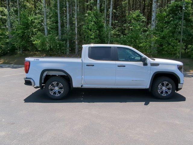 2024 GMC Sierra 1500 Vehicle Photo in ALBERTVILLE, AL 35950-0246