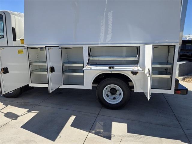 2024 Chevrolet Low Cab Forward 3500 Vehicle Photo in LAS VEGAS, NV 89118-3267