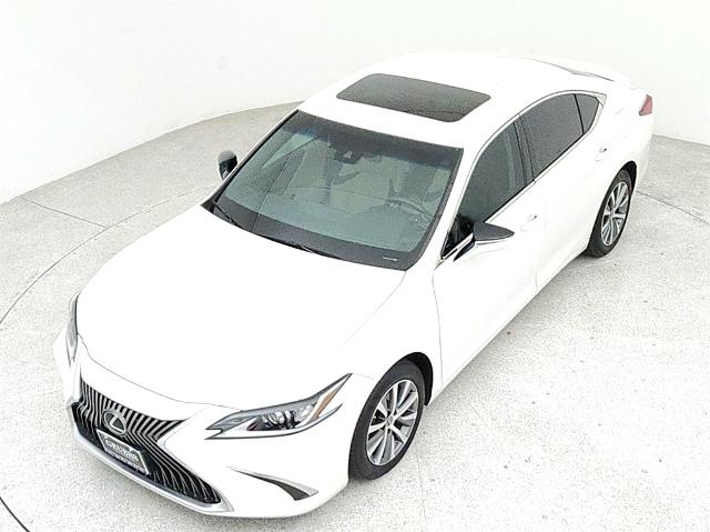 2021 Lexus ES 250 Vehicle Photo in Grapevine, TX 76051