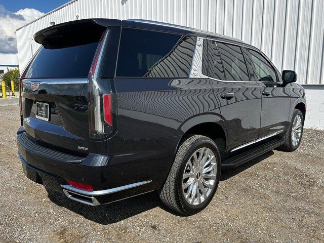 2022 Cadillac Escalade Vehicle Photo in JACKSON, MI 49202-1834