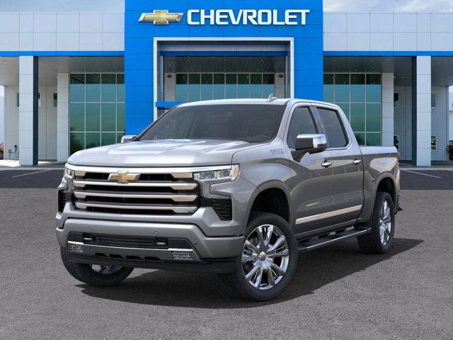 2025 Chevrolet Silverado 1500 Vehicle Photo in SELMA, TX 78154-1460