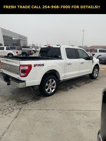 2022 Ford F-150 Vehicle Photo in STEPHENVILLE, TX 76401-3713