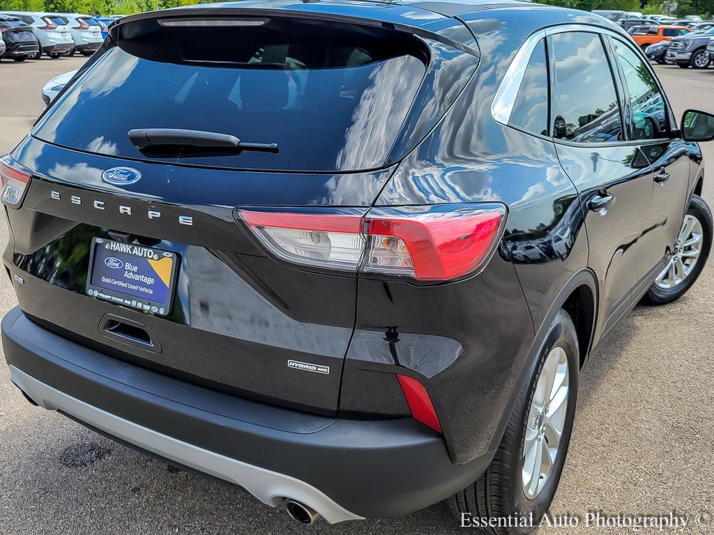 2022 Ford Escape Vehicle Photo in Saint Charles, IL 60174