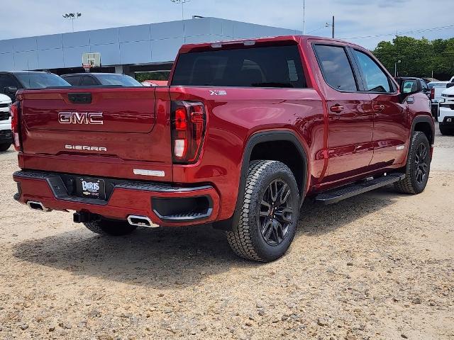 2024 GMC Sierra 1500 Vehicle Photo in PARIS, TX 75460-2116