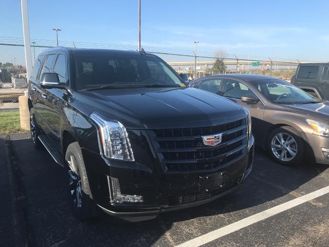 2020 Cadillac Escalade Vehicle Photo in GREEN BAY, WI 54303-3330