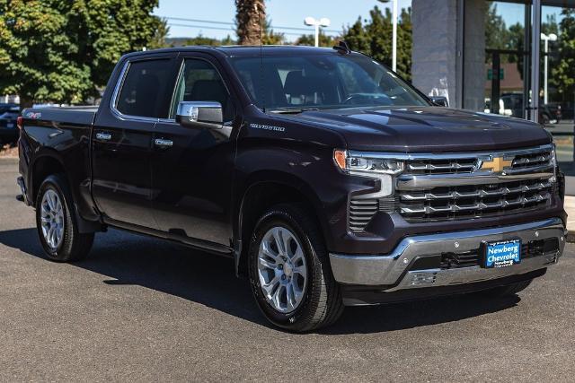 2023 Chevrolet Silverado 1500 Vehicle Photo in NEWBERG, OR 97132-1927